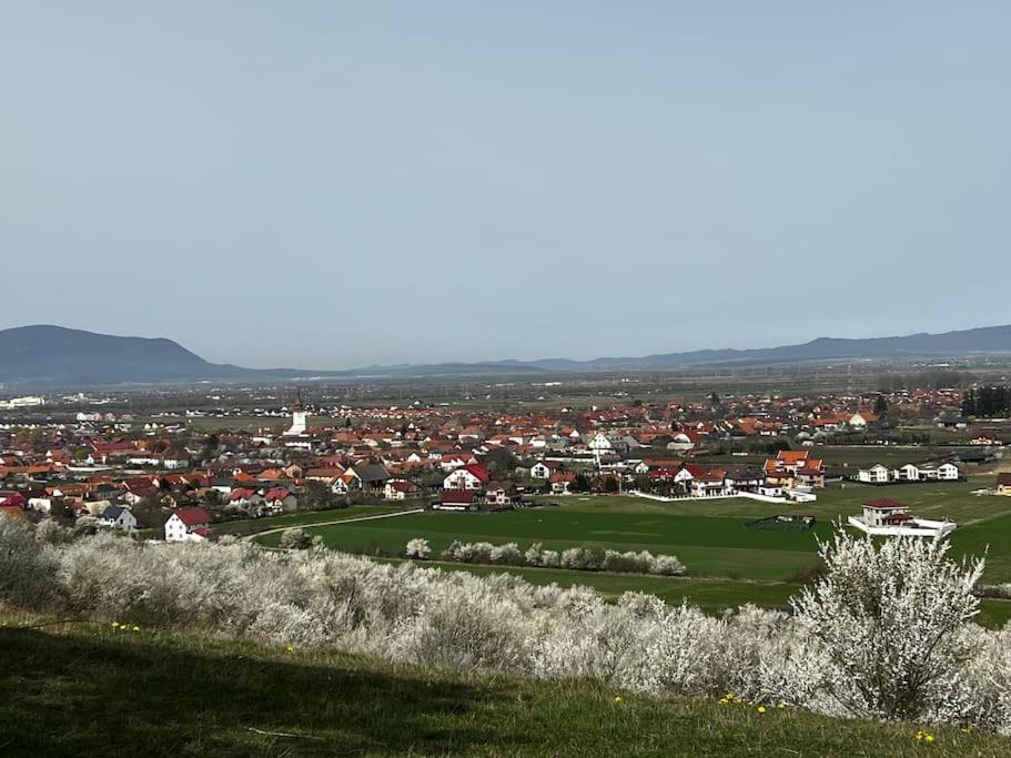 Вілла Pineview Lempes Брашов Екстер'єр фото